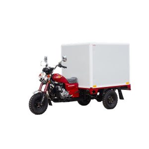 Tricycle With Container